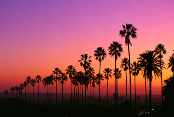 LA
