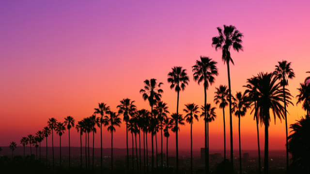 Corporate travel services in Los Angeles