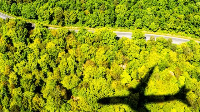 Plane over a forest