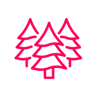 Three pink stylized pine trees on black background