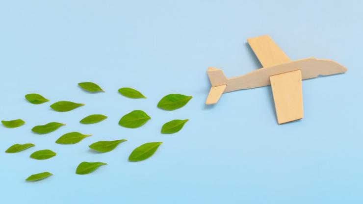 Wooden aircraft and green leaves coming out of back