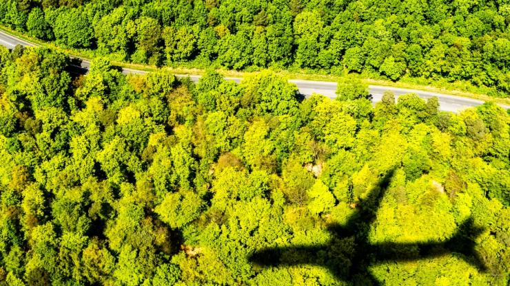Plane over a forest