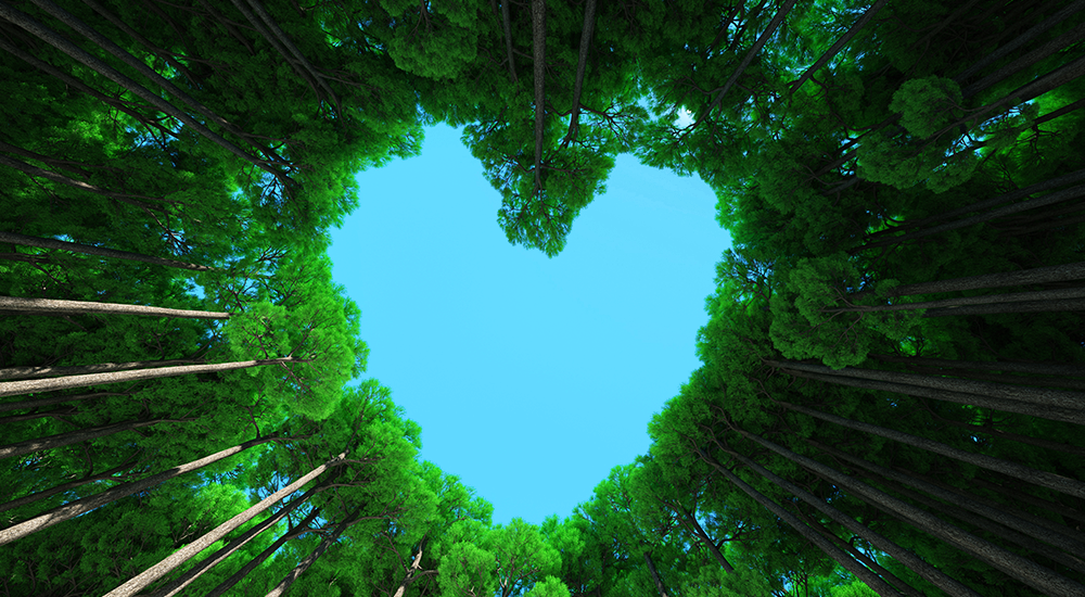 ct-hw-pelsis-case-study-journey-to-sustainable-business-travel