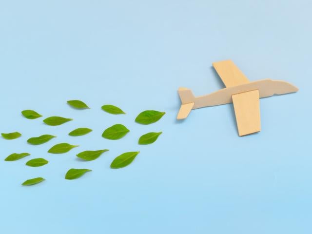 Wooden aircraft and green leaves coming out of back