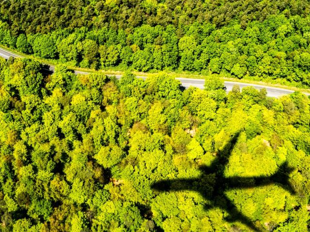 Plane over a forest