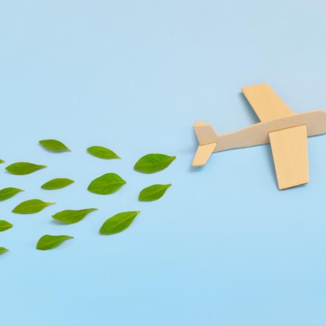 Wooden aircraft and green leaves coming out of back